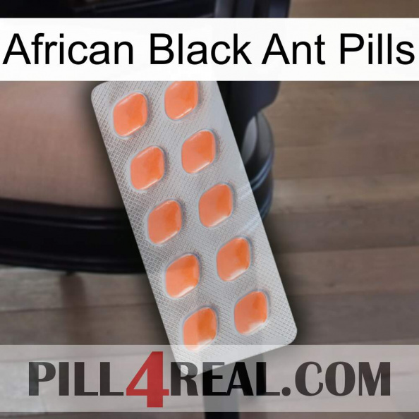 African Black Ant Pills 26.jpg